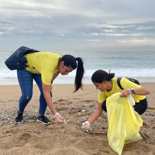 Absolute Internship sustainability and diversity