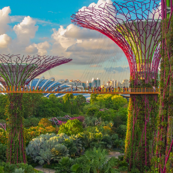 Weekend Activities in Singapore internship program with Absolute Internship